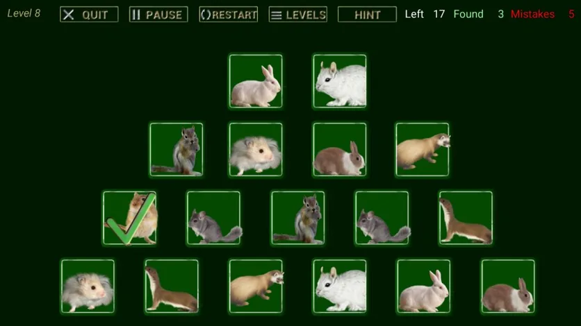 Find That One – screenshot 2