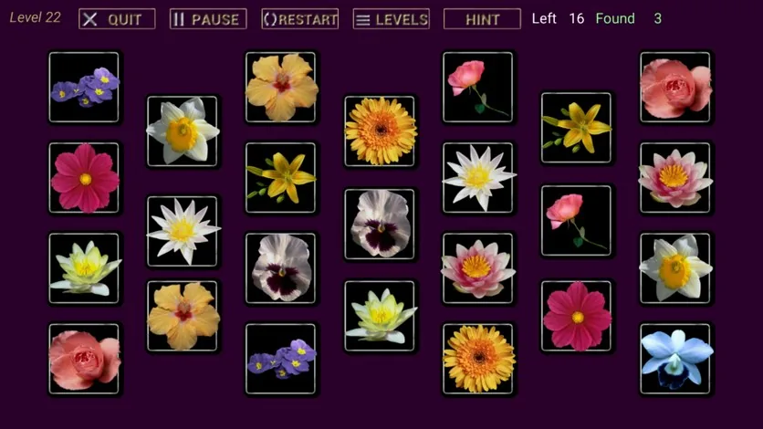 Find That One – screenshot 6