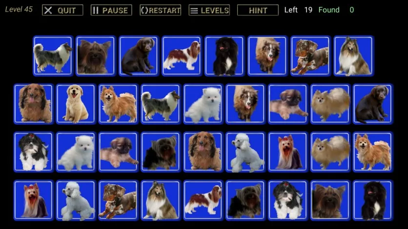 Find That One – screenshot 8